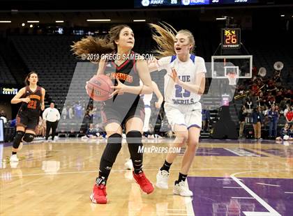 Thumbnail 3 in Davis vs St. Francis (@ Golden 1 Center) photogallery.
