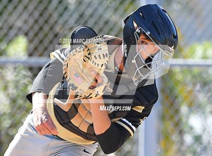 Thumbnail 2 in St. Petersburg Catholic @ Shorecrest Prep photogallery.