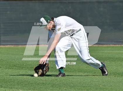 Thumbnail 1 in St. Petersburg Catholic @ Shorecrest Prep photogallery.