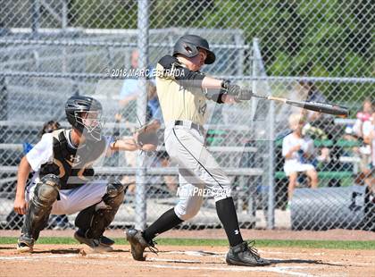 Thumbnail 1 in St. Petersburg Catholic @ Shorecrest Prep photogallery.