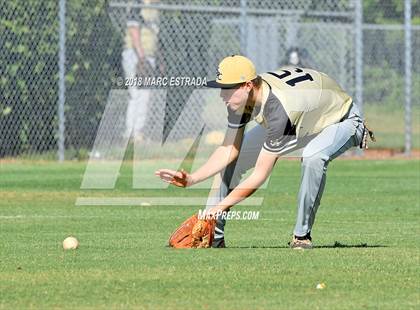 Thumbnail 2 in St. Petersburg Catholic @ Shorecrest Prep photogallery.