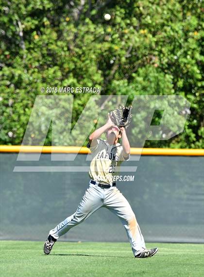 Thumbnail 1 in St. Petersburg Catholic @ Shorecrest Prep photogallery.