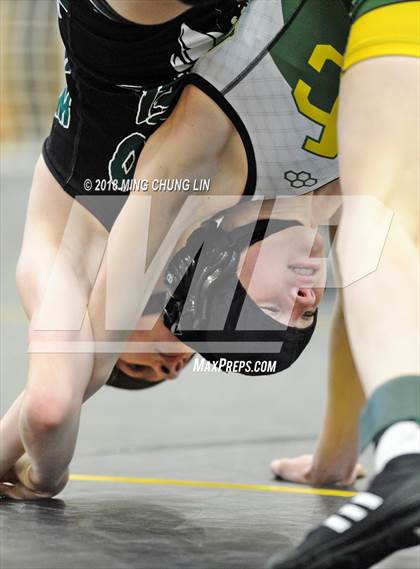 Thumbnail 1 in Aliso Niguel vs. Mira Costa (Lady Big Kat Wrestling Invitational) photogallery.