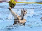 Photo from the gallery "Warren @ Harlan"