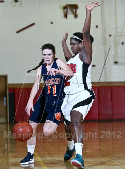 Thumbnail 3 in Briarcliff @ Alexander Hamilton photogallery.
