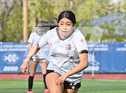 Thumbnail 2 in Bruce Randolf vs. Buena Vista (CHSAA 2A Round 1) photogallery.