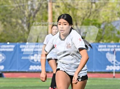 Thumbnail 3 in Bruce Randolf vs. Buena Vista (CHSAA 2A Round 1) photogallery.