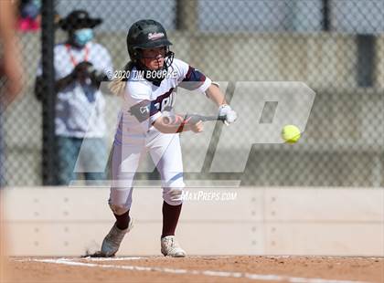 Thumbnail 1 in Cherokee Trail vs. Fossil Ridge (CHSAA 5A Championship) photogallery.