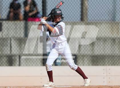 Thumbnail 3 in Cherokee Trail vs. Fossil Ridge (CHSAA 5A Championship) photogallery.