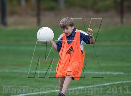 Thumbnail 1 in Immaculate @ Joel Barlow photogallery.