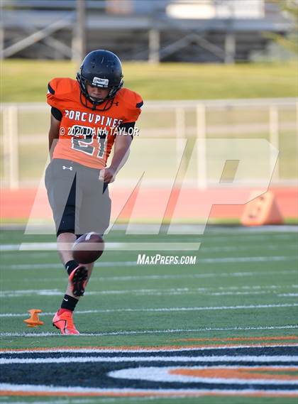 Thumbnail 3 in Gainesville @ Springtown photogallery.