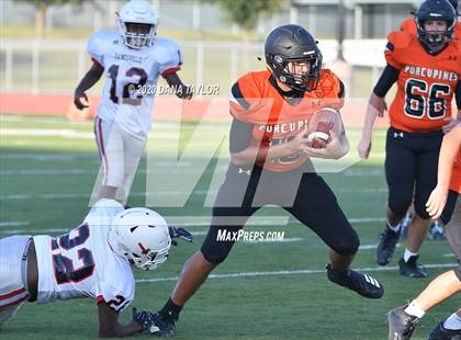 Thumbnail 3 in Gainesville @ Springtown photogallery.