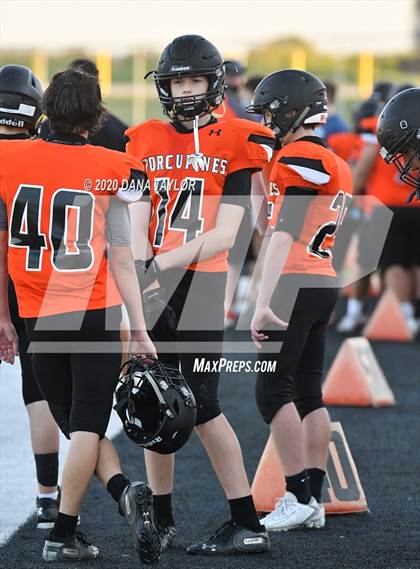 Thumbnail 1 in Gainesville @ Springtown photogallery.