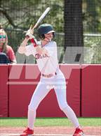 Photo from the gallery "Vanden @ Carondelet"