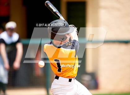 Thumbnail 1 in Greensboro Day @ Ravenscroft photogallery.