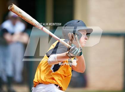 Thumbnail 2 in Greensboro Day @ Ravenscroft photogallery.