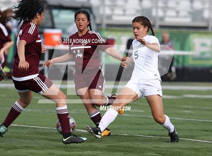 Thumbnail 1 in Stevenson vs. Zion-Benton (IHSA 3A Regional Semifinal) photogallery.