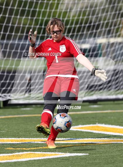 Thumbnail 2 in Stevenson vs. Zion-Benton (IHSA 3A Regional Semifinal) photogallery.