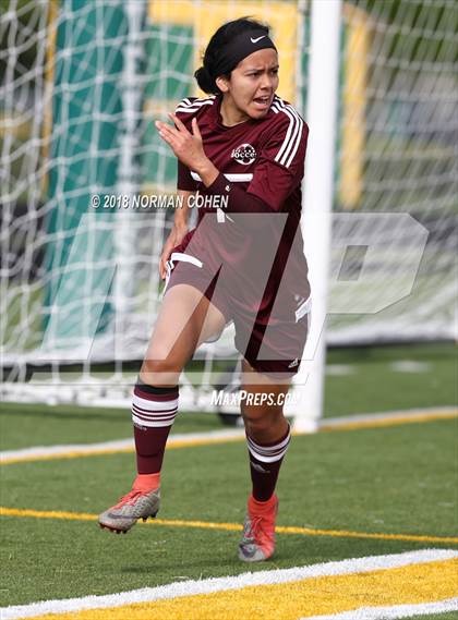 Thumbnail 2 in Stevenson vs. Zion-Benton (IHSA 3A Regional Semifinal) photogallery.