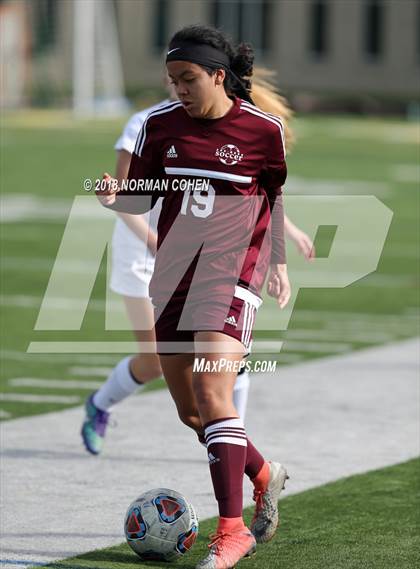 Thumbnail 2 in Stevenson vs. Zion-Benton (IHSA 3A Regional Semifinal) photogallery.