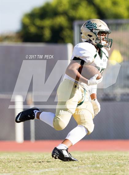 Thumbnail 2 in Brea Olinda @ Foothill photogallery.