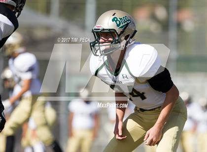 Thumbnail 1 in Brea Olinda @ Foothill photogallery.