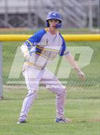 Photo from the gallery "Villa Grove @ Argenta-Oreana"