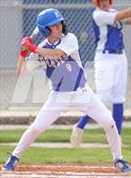 Photo from the gallery "Villa Grove @ Argenta-Oreana"