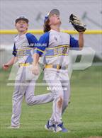 Photo from the gallery "Villa Grove @ Argenta-Oreana"