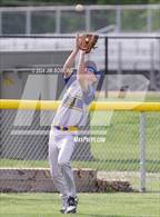 Photo from the gallery "Villa Grove @ Argenta-Oreana"