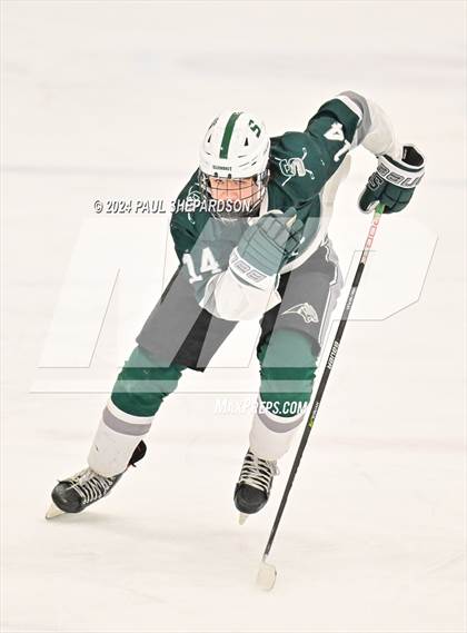 Thumbnail 1 in Liberty vs. Summit - CHSAA 4A Semifinals photogallery.