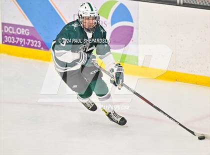 Thumbnail 1 in Liberty vs. Summit - CHSAA 4A Semifinals photogallery.