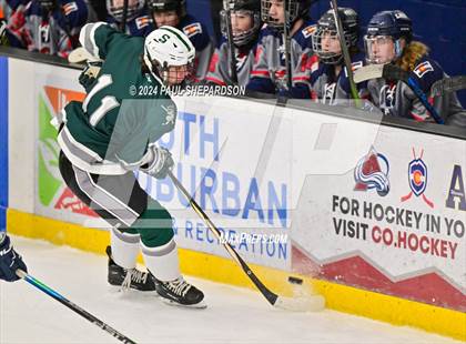 Thumbnail 3 in Liberty vs. Summit - CHSAA 4A Semifinals photogallery.