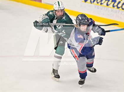 Thumbnail 1 in Liberty vs. Summit - CHSAA 4A Semifinals photogallery.