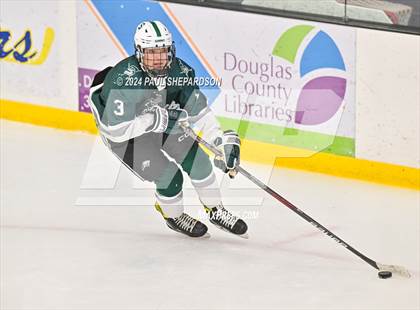 Thumbnail 3 in Liberty vs. Summit - CHSAA 4A Semifinals photogallery.