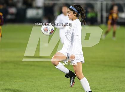 Thumbnail 2 in Northfield vs Windsor (CHSAA 4A Championship) photogallery.