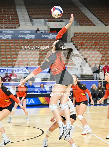 Thumbnail 3 in Xavier College Prep vs. Corona del Sol (AIA 6A Final) photogallery.