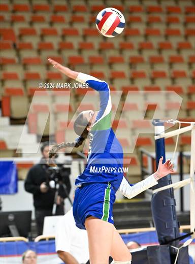 null - Photo 41