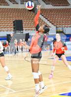 Photo from the gallery "Xavier College Prep vs. Corona del Sol (AIA 6A Final)"