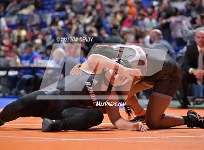 Thumbnail 2 in UIL State Championships - 5A 185lb Final photogallery.