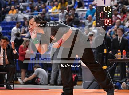 Thumbnail 2 in UIL State Championships - 5A 185lb Final photogallery.