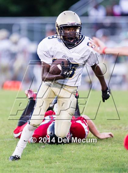 Thumbnail 3 in Durant @ Bloomingdale photogallery.