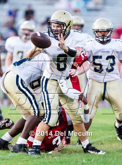 Thumbnail 3 in Durant @ Bloomingdale photogallery.