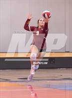 Photo from the gallery "Cardinal Newman @ Rancho Cotate"