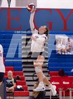 Photo from the gallery "Cardinal Newman @ Rancho Cotate"