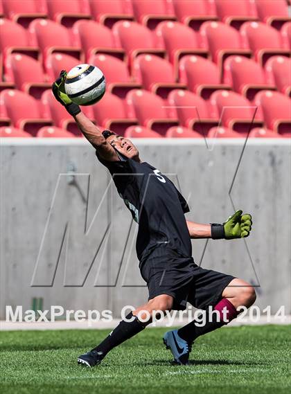 Thumbnail 1 in Skyline vs Logan (UHSAA 4A Final) photogallery.
