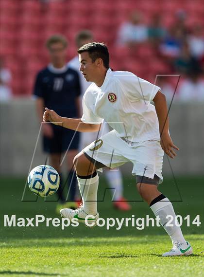 Thumbnail 1 in Skyline vs Logan (UHSAA 4A Final) photogallery.