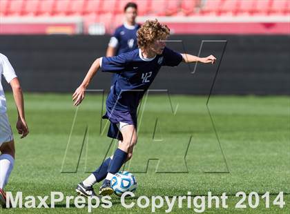Thumbnail 1 in Skyline vs Logan (UHSAA 4A Final) photogallery.