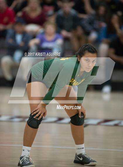 Thumbnail 2 in Notre Dame vs Paloma Valley (CIF SS D6 Quarterfinal) photogallery.