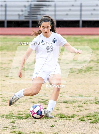Thumbnail 1 in Cactus Shadows @ McClintock photogallery.